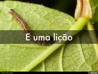 Photo by cacho_please