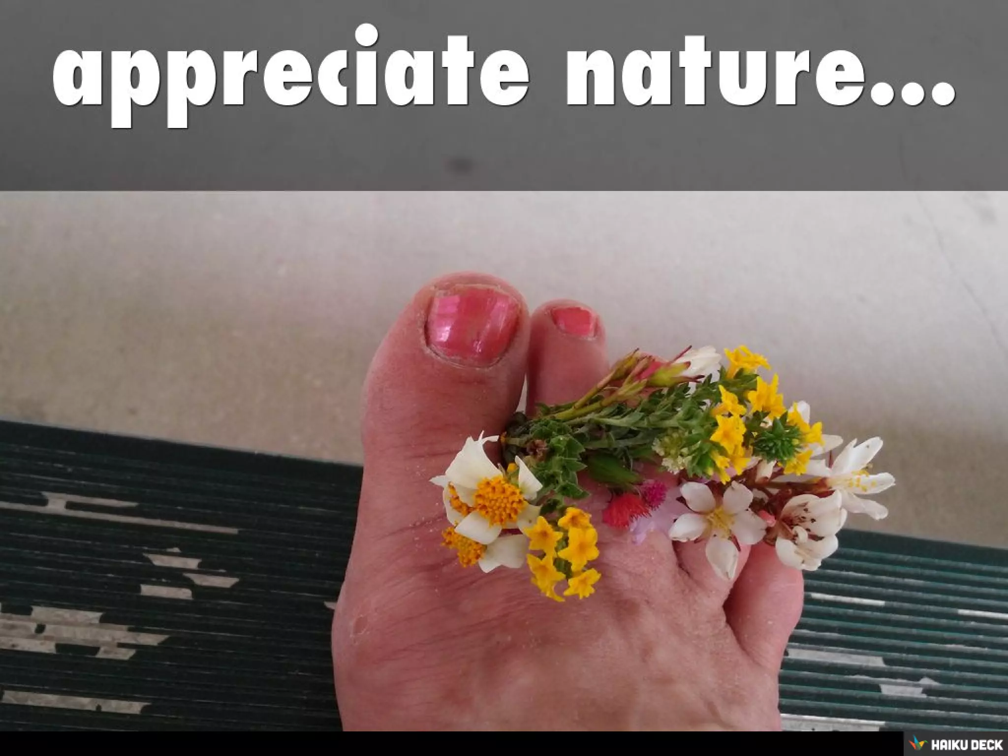 Ways to Have More Joy