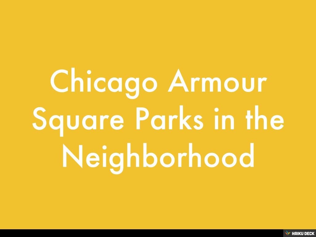 Chicago Armour Square Parks in the Neighborhood
