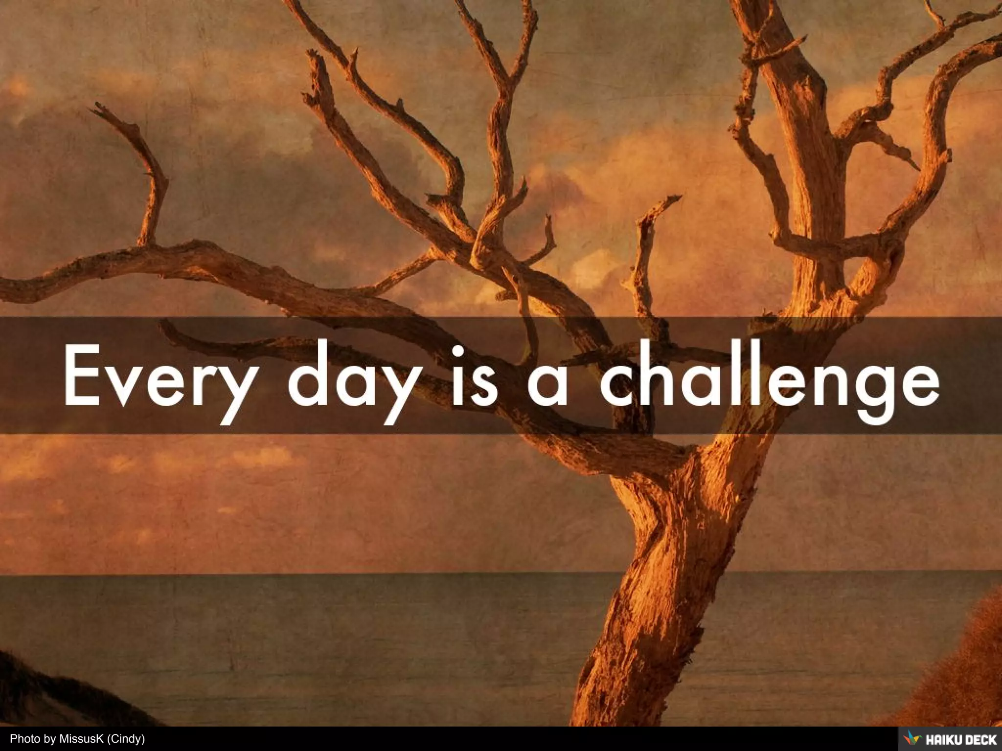 Photo by MissusK (Cindy)