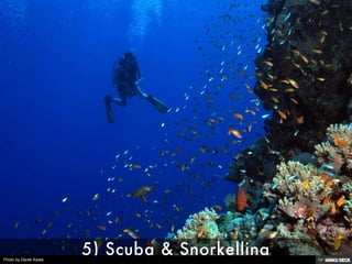 Photo by Derek Keats
 