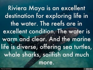 Photo by PacificKlaus
 