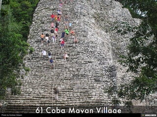 Photo by Andrew Gibson.
 