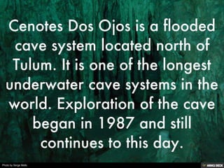 Photo by Serge Melki
 