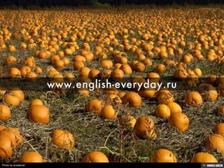 Photo by ecstaticist
 