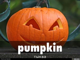 Photo by Leo Reynolds
 