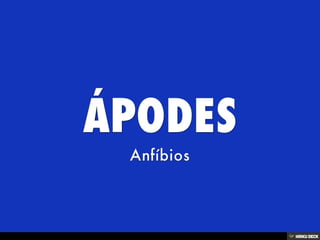 Áʰٷ