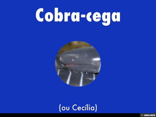Áʰٷ