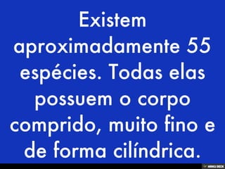 Áʰٷ