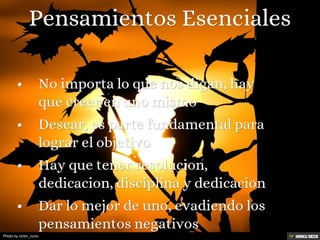 Photo by victor_nuno
 