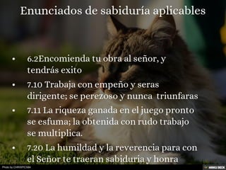 Photo by CHRISPICS84
 