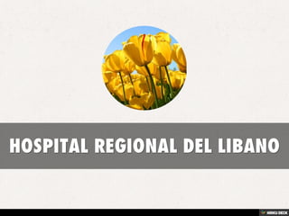 HOSPITAL REGIONAL DEL LIBANO 