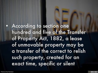 Photo by Paul Nicholson
 