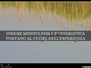 Photo by martino.pizzol