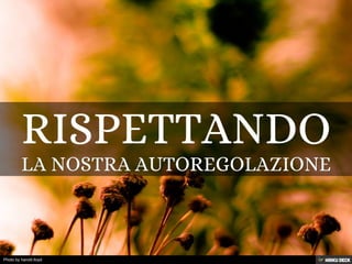 Photo by harold.lloyd