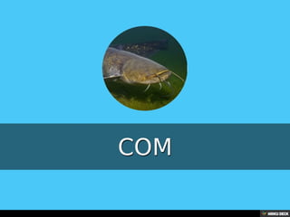 Територија Србије се по распростањености биљног (флоре) и животињског света (фауне) може поделити на: *Панонску и планинску флористичку и фа