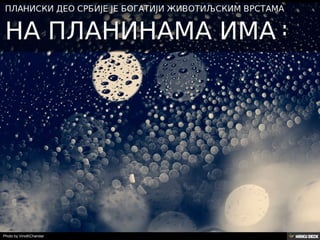 Територија Србије се по распростањености биљног (флоре) и животињског света (фауне) може поделити на: *Панонску и планинску флористичку и фа