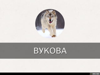 Територија Србије се по распростањености биљног (флоре) и животињског света (фауне) може поделити на: *Панонску и планинску флористичку и фа