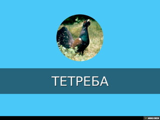 Територија Србије се по распростањености биљног (флоре) и животињског света (фауне) може поделити на: *Панонску и планинску флористичку и фа