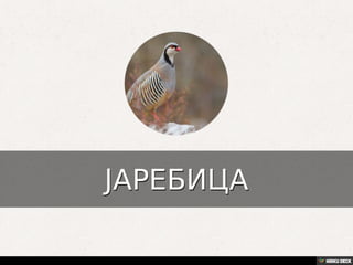 Територија Србије се по распростањености биљног (флоре) и животињског света (фауне) може поделити на: *Панонску и планинску флористичку и фа