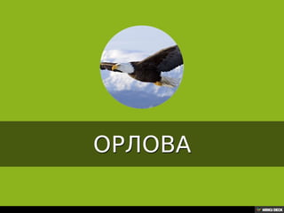 Територија Србије се по распростањености биљног (флоре) и животињског света (фауне) може поделити на: *Панонску и планинску флористичку и фа