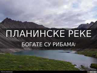 Територија Србије се по распростањености биљног (флоре) и животињског света (фауне) може поделити на: *Панонску и планинску флористичку и фа