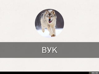 Територија Србије се по распростањености биљног (флоре) и животињског света (фауне) може поделити на: *Панонску и планинску флористичку и фа