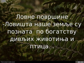 Територија Србије се по распростањености биљног (флоре) и животињског света (фауне) може поделити на: *Панонску и планинску флористичку и фа