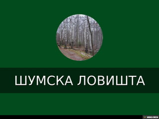 Територија Србије се по распростањености биљног (флоре) и животињског света (фауне) може поделити на: *Панонску и планинску флористичку и фа