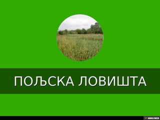 Територија Србије се по распростањености биљног (флоре) и животињског света (фауне) може поделити на: *Панонску и планинску флористичку и фа