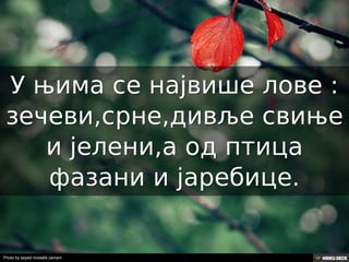 Територија Србије се по распростањености биљног (флоре) и животињског света (фауне) може поделити на: *Панонску и планинску флористичку и фа