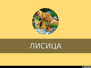 Територија Србије се по распростањености биљног (флоре) и животињског света (фауне) може поделити на: *Панонску и планинску флористичку и фа