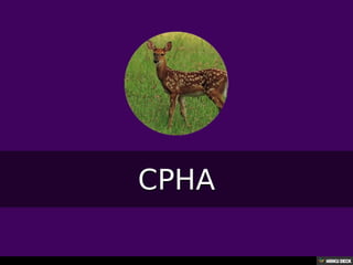 Територија Србије се по распростањености биљног (флоре) и животињског света (фауне) може поделити на: *Панонску и планинску флористичку и фа