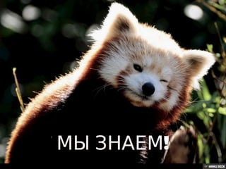 Pizza5 - презентация проекта