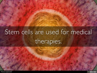 Photo by hyperion327
 