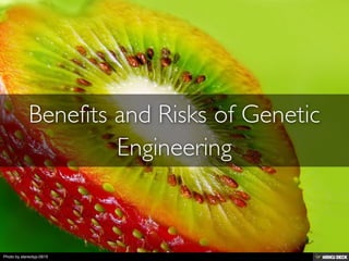 Photo by stereotyp-0815
 