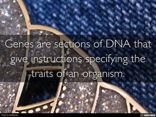 Photo by certified su
 