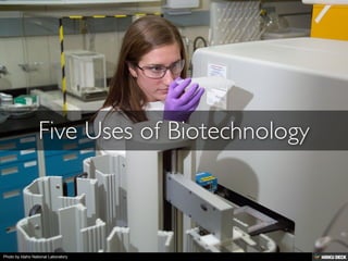 Photo by Idaho National Laboratory
 