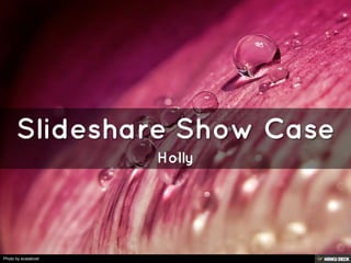 Slideshare Show Case ,[object Object],Holly,[object Object]