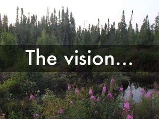 The vision...