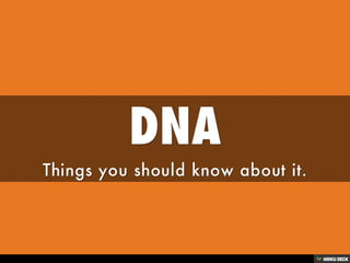 DNA  Things you should know about it. 