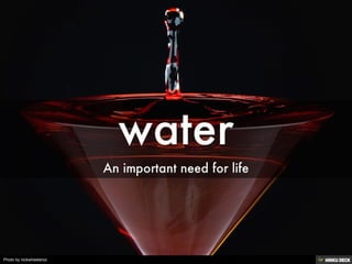 water  An important need for life 