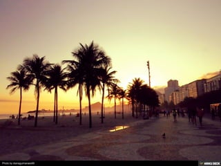 Photo by dianaguimaraes99
 