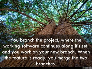 Photo by ecstaticist
 