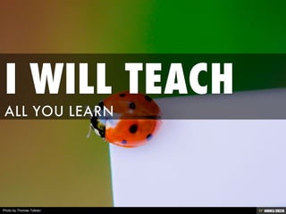 Photo by Thomas Tolkien