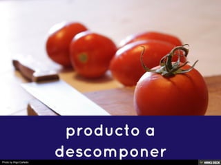 Photo by Iñigo Cañedo
 