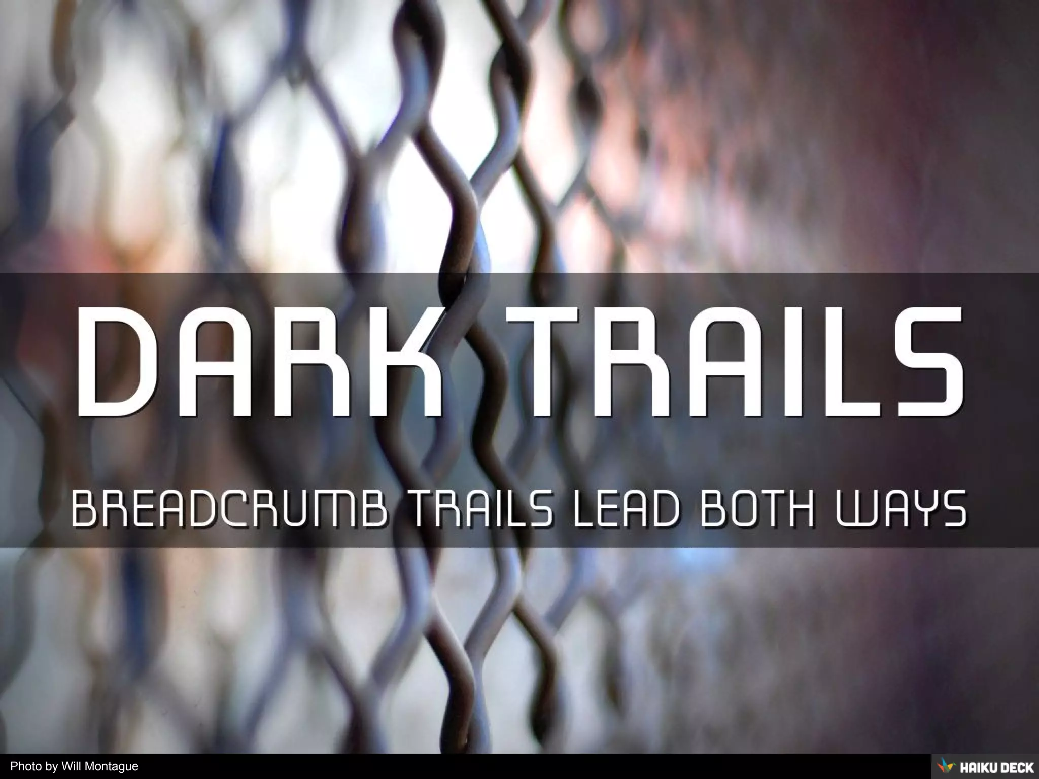 Photo by Will Montague