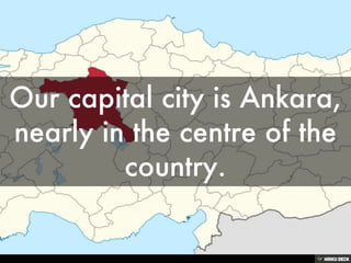 Please Guess My City