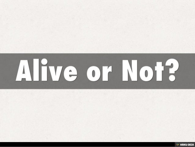 Alive Or Not