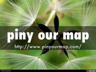 Photo by ecstaticist 
 